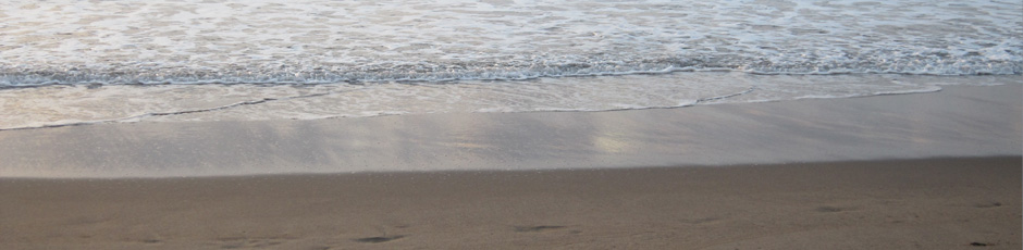 imagen horizontal de una playa